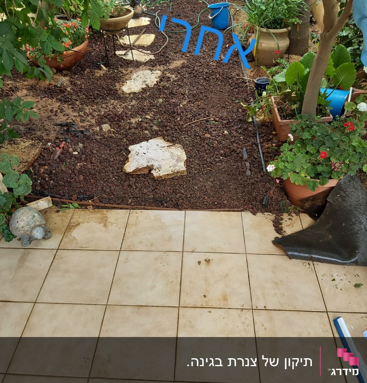 צינור מים בגינה עם דלי כחול